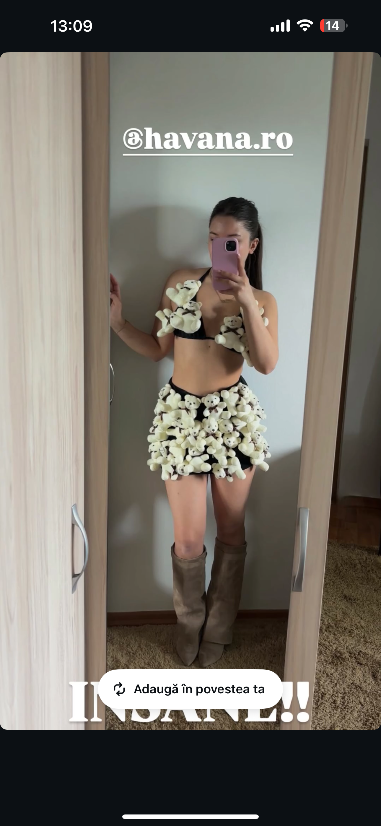 Set teddy